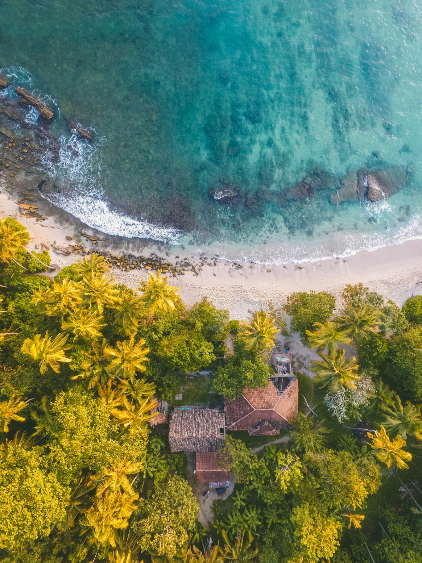Golden beach in Sri Lanka with turquoise ocean and palm trees